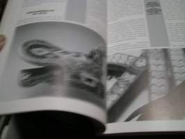 Vuosi idän silkkitiellä