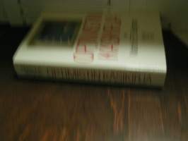 Optimistin käsikirja