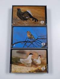 Laulava lintukirja : kirja ja 3 kasettia pahvikotelossa