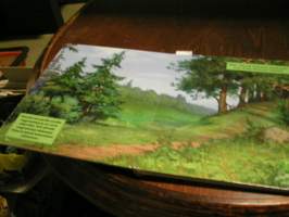 röllien retki . magneettikirja.  ei magneetteja. mukanapaksut sivut