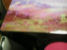 röllien retki . magneettikirja.  ei magneetteja. mukanapaksut sivut