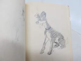 Sotilasmuistioni, M.E. 1955 -varusmiesaikaisia muistoja ja piirroksia ym. varten tarkoitettu kirja, tässä enimmäkseen piirroshahmotelmia