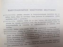 Suuri keittokirja (prinsessojen keittokirja)