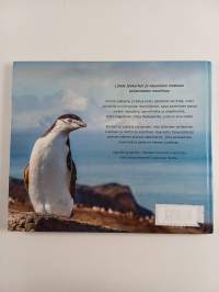 Jääkarhu Patrick : operaatio Tassunjälki