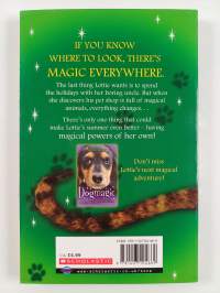 Catmagic - Cat magic