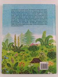 Myyrä parantaa hiiren