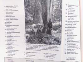 Pellervo No 15 lokakuu 1989