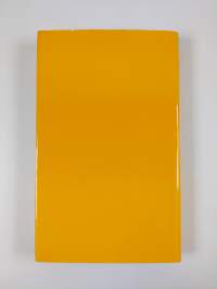 Das Gewissen der Worte : Essays