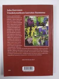 Viiniköynnöksen kasvatus Suomessa