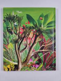 Kekseliäät roomalaiset : Vierailu antiikin maailmassa