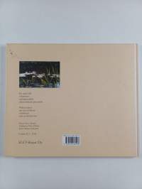 Taivaan mittainen valonkaari