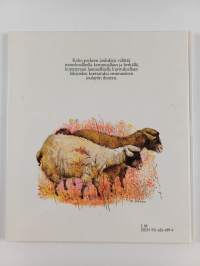 Lähdetään Betlehemiin!