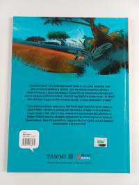 Angry Birds : Kadonneen aarteen arvoitus