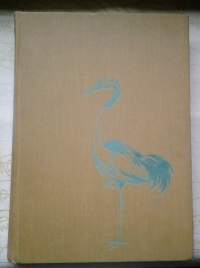 Kauneimmat Eläinsadut