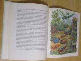 Tintin koulu satuja ja säveliä muksuille