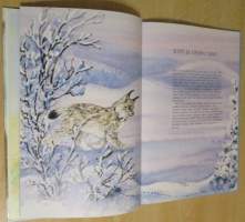 Metsäneläinten tarinoita