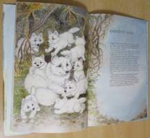 Metsäneläinten tarinoita