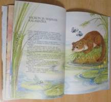 Metsäneläinten tarinoita