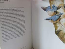 Fåglar i skog och trädgård