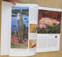 Onnellinen kesäkeittiö