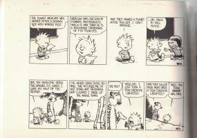 The Calvin and Hobbes Tenth Anniversary Book