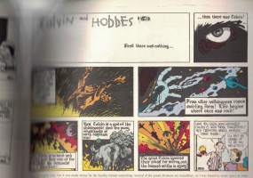 The Calvin and Hobbes Tenth Anniversary Book