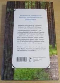 Hiekkalinnoja Jylhäsalmella