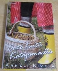 Outo lintu Katajamäellä