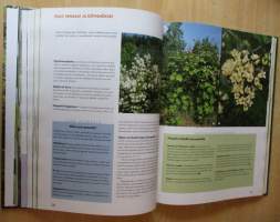 Luonnonmukainen kotipuutarha