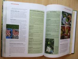 Luonnonmukainen kotipuutarha