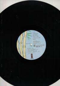 Buddha and the Chocolate Box lp