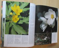 Suomalainen Perennakäsikirja