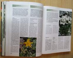 Suomalainen Perennakäsikirja