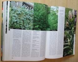 Suomalainen Perennakäsikirja