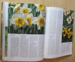 Suomalainen Perennakäsikirja