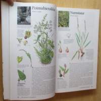 Suomen Luonnonkasvit