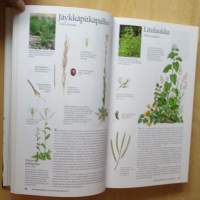 Suomen Luonnonkasvit