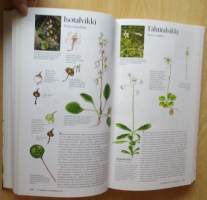 Suomen Luonnonkasvit