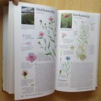 Suomen Luonnonkasvit