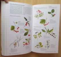 Suomen Luonnonkasvit