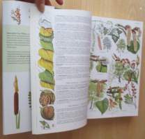 Otavan kasvitieto : yli 2400 Euroopan kasvilajia