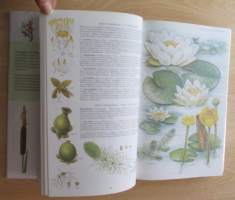 Otavan kasvitieto : yli 2400 Euroopan kasvilajia