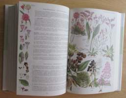 Otavan kasvitieto : yli 2400 Euroopan kasvilajia