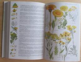 Otavan kasvitieto : yli 2400 Euroopan kasvilajia