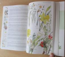 Otavan kasvitieto : yli 2400 Euroopan kasvilajia