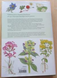 Otavan kasvitieto : yli 2400 Euroopan kasvilajia