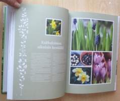 Kotipihan kasvihuone