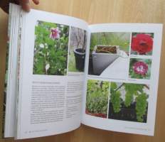 Kotipihan kasvihuone