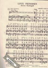 Lintu pienoinen - Kleine Nachtigall