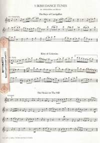 5 Irish Dance Tunes für Altblockflöte und Klavier. Zeitschrift für Speilmusik.